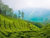 Munnar